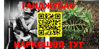 прущие грибы Первоуральск